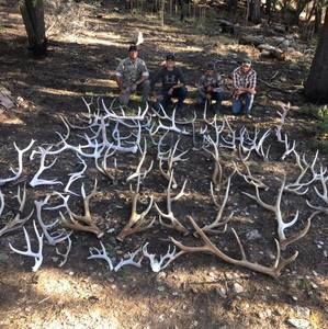 Meet your Posher, Stephen